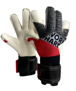 Goalkeeper Glove ART388